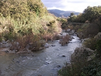 cantara gurne23122011 079